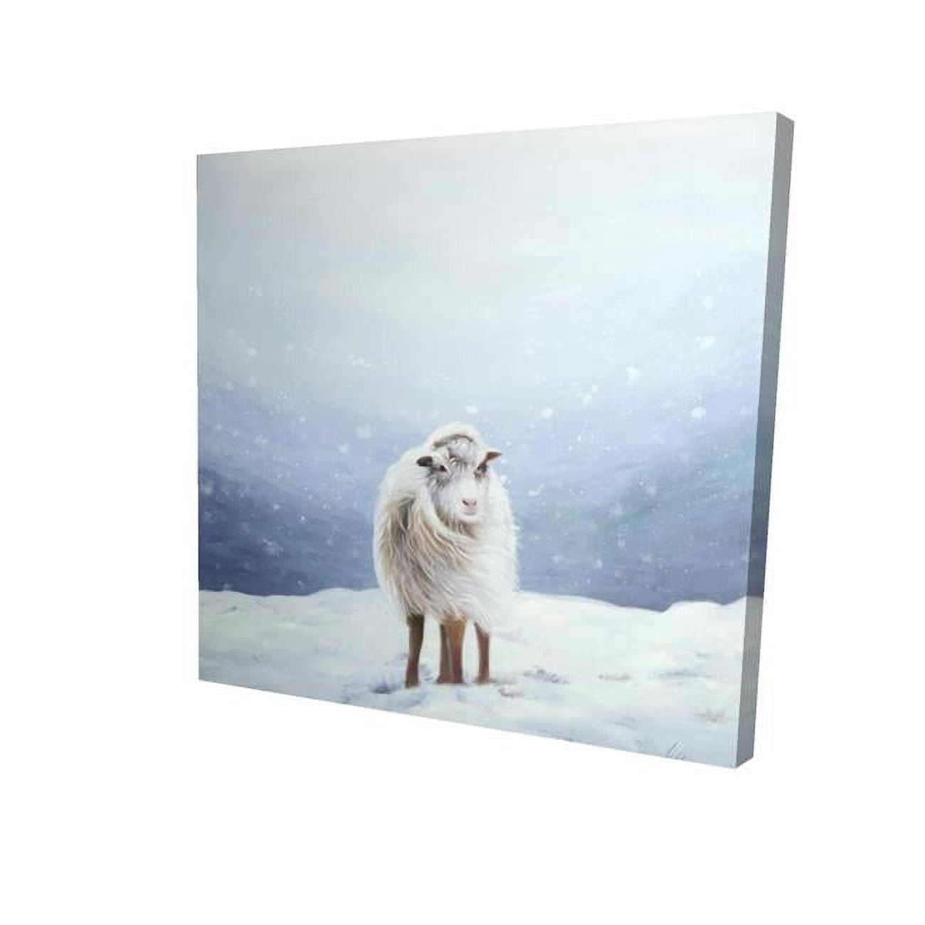 16 x 16 in. Long Hair Sheep-Print on Canvas
