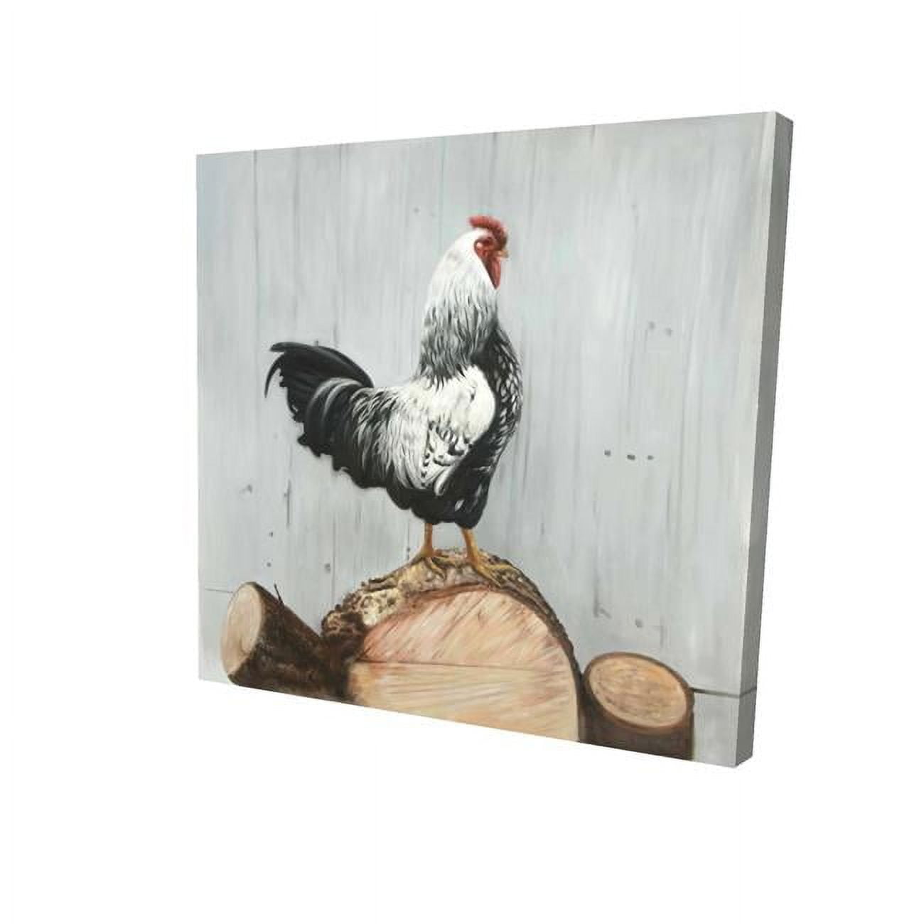 16 x 16 in. Wyandotte Rooster-Print on Canvas