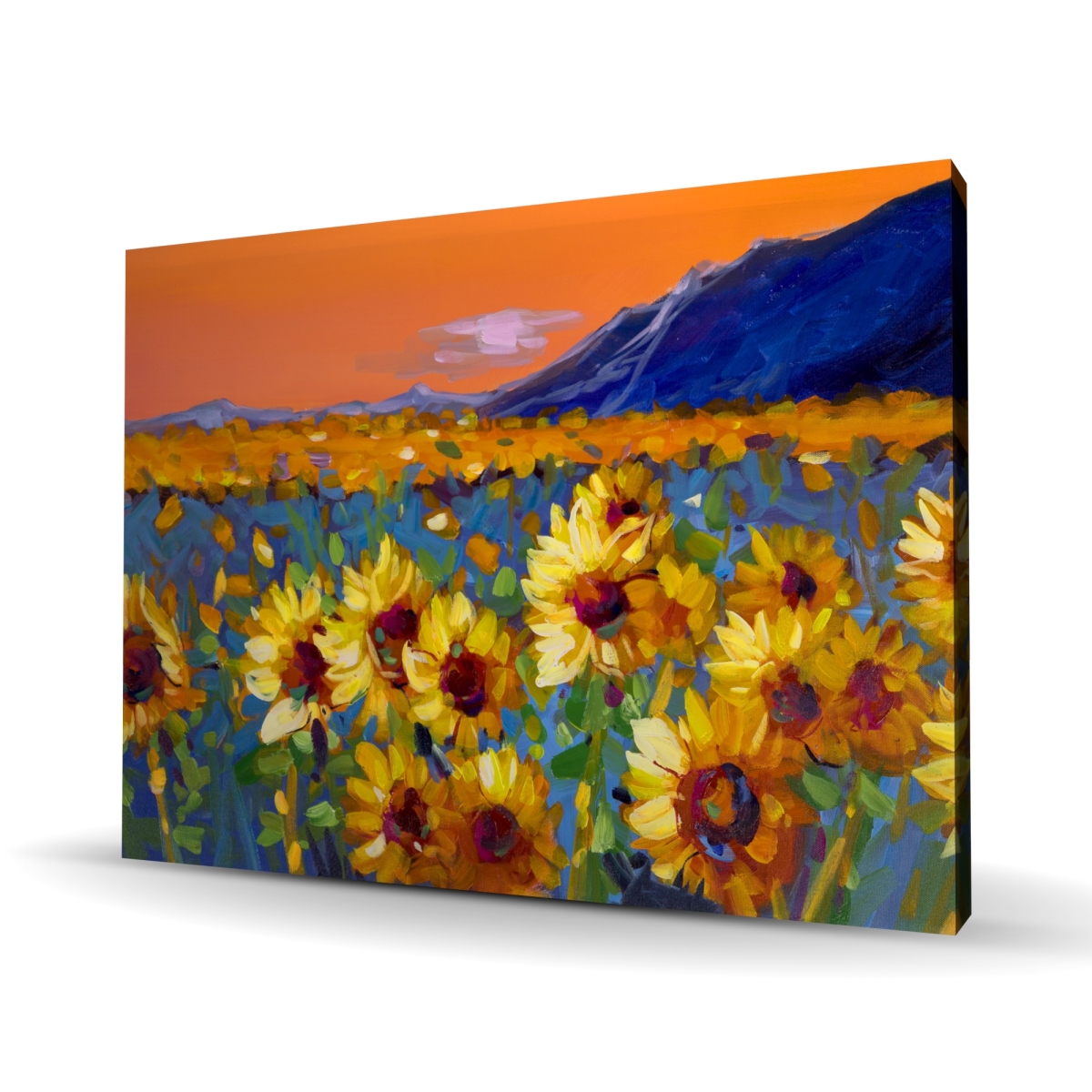 C1RC3648WUXXPB 36 x 48 in. Field of Sunflowers Canvas - Bedroom Flowers Home Decor
