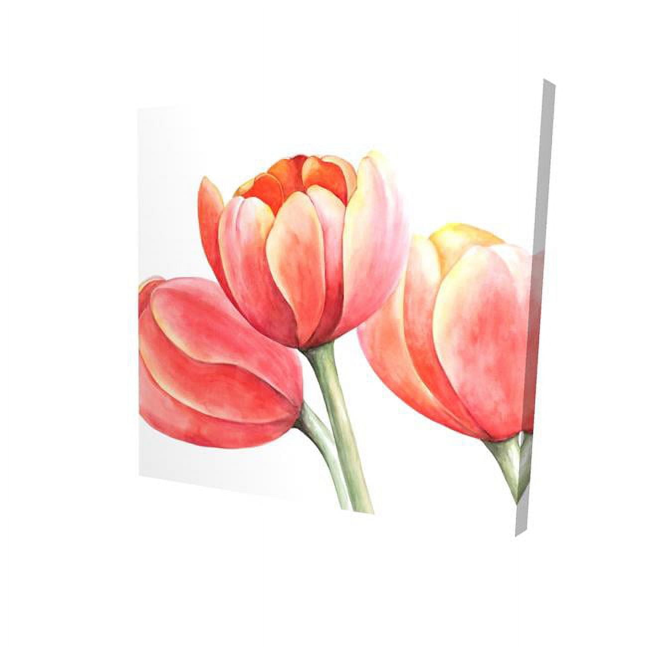 16 x 16 in. Three Tulips Closeup-Print on Canvas