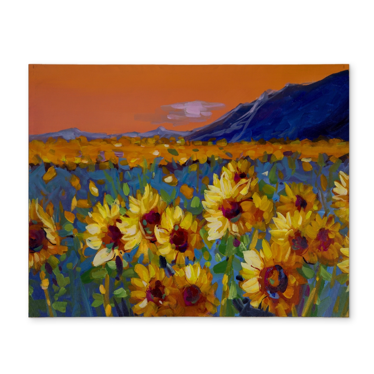 Picture of Begin Home Decor CPPM1418ODAXWS 14 x 18 in. Field of Sunflowers Placemat - Blue Floral Polyester Decor