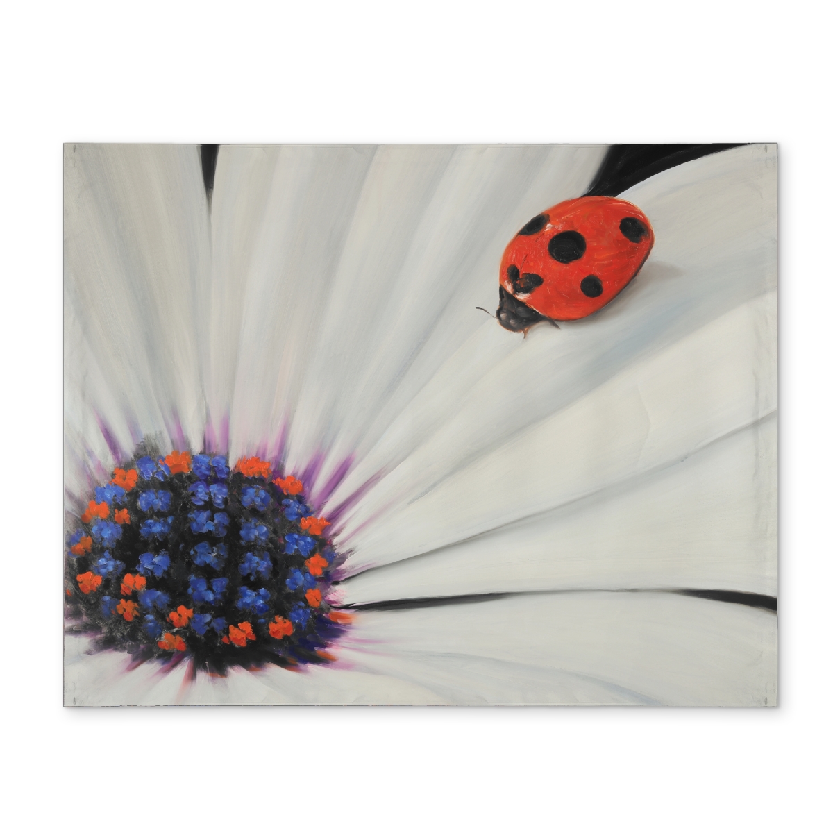 CPPM1418409J37 14 x 18 in. Blue Floral Bedroom Placemat - White Daisy & Ladybug Decor