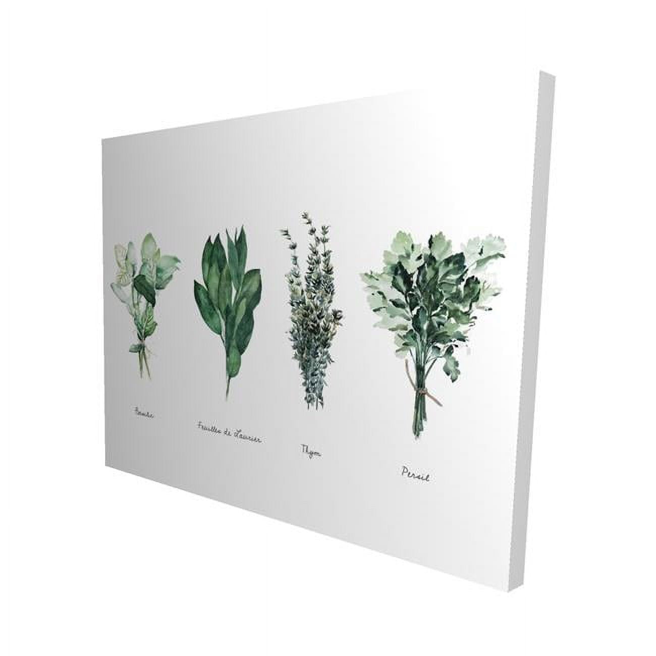 16 x 20 in. Fines Herbes-Print on Canvas