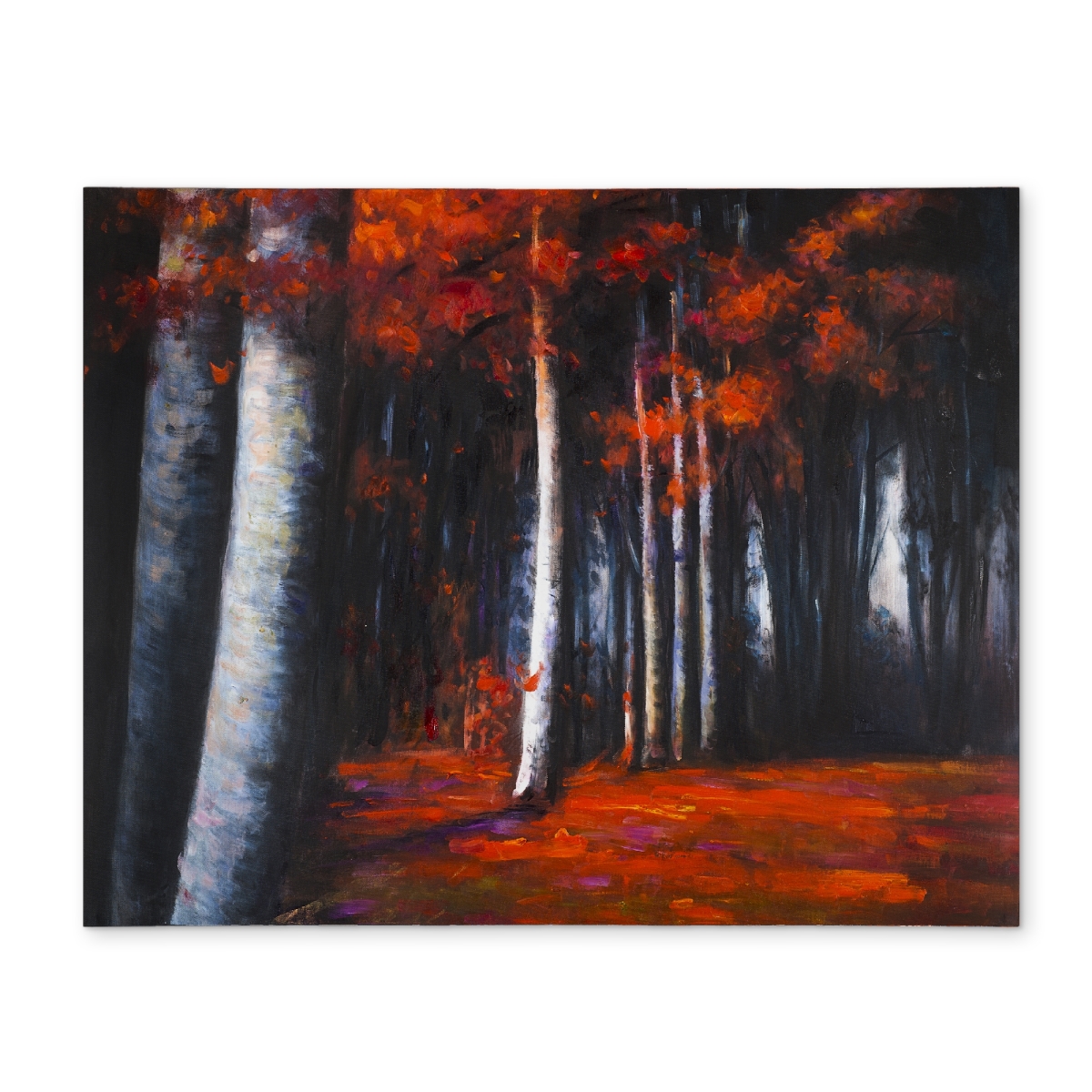 CPPM1418YHAQ60 14 x 18 in. Mysterious Forest Contemporary Trees Polyester Placemat Decor