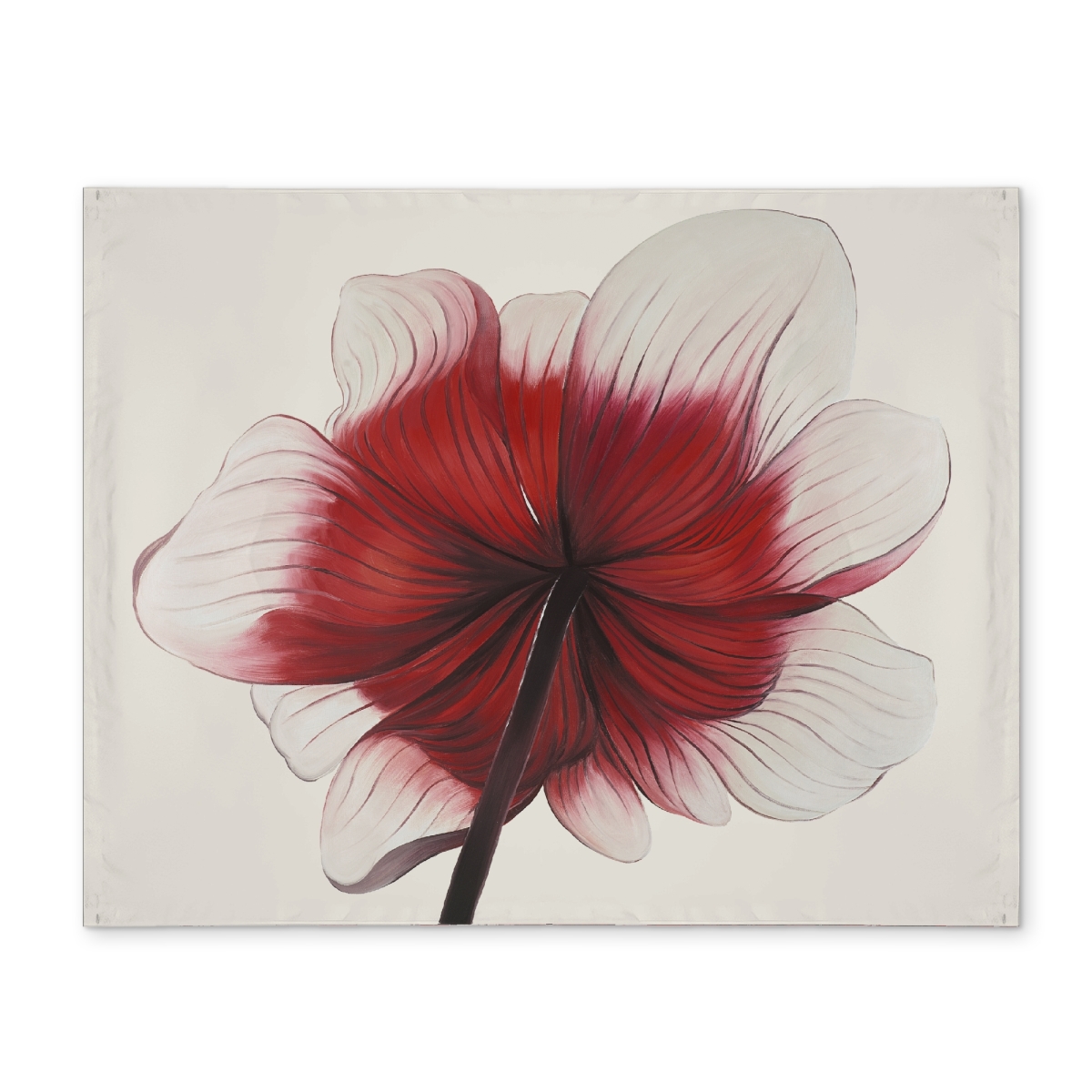 Picture of Begin Home Decor CPPM1418P2KUE6 14 x 18 in. Anemone Red Flower Black Polyester Placemat - Romantic Decor