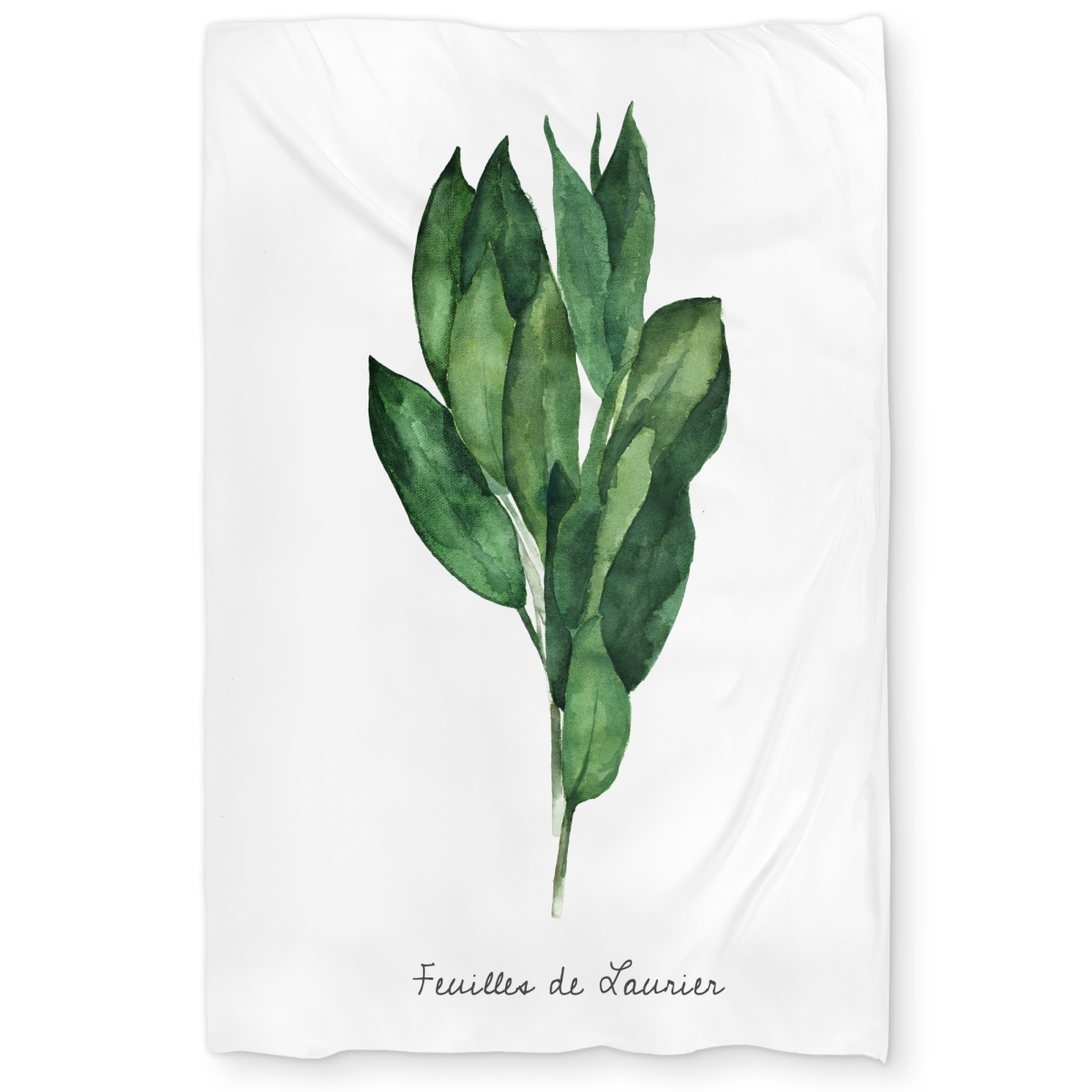 C1DCTXLWFC1LWT Bay Leaves Bundle - Kitchen Illustrative Twin Size Extra Long Duvet Cover - Home Decor