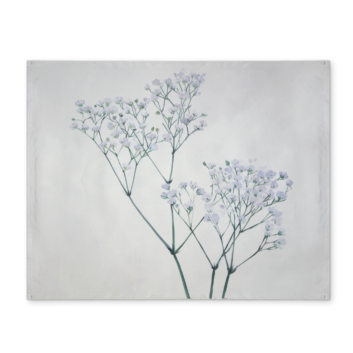 Picture of Begin Home Decor CPPM1418U9X1RL 14 x 18 in. Babys-Breath Minimalist Bedroom Placemat - Floral Home Decor