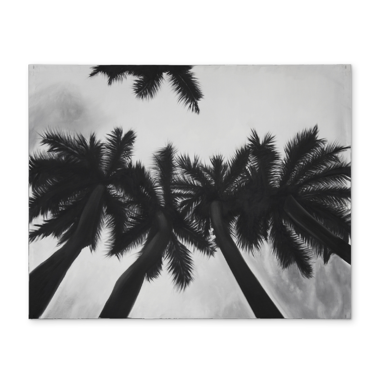 Picture of Begin Home Decor CPPM1418K9516K 14 x 18 in. Monochrome Palm Trees Placemat - Polyester Home Decor