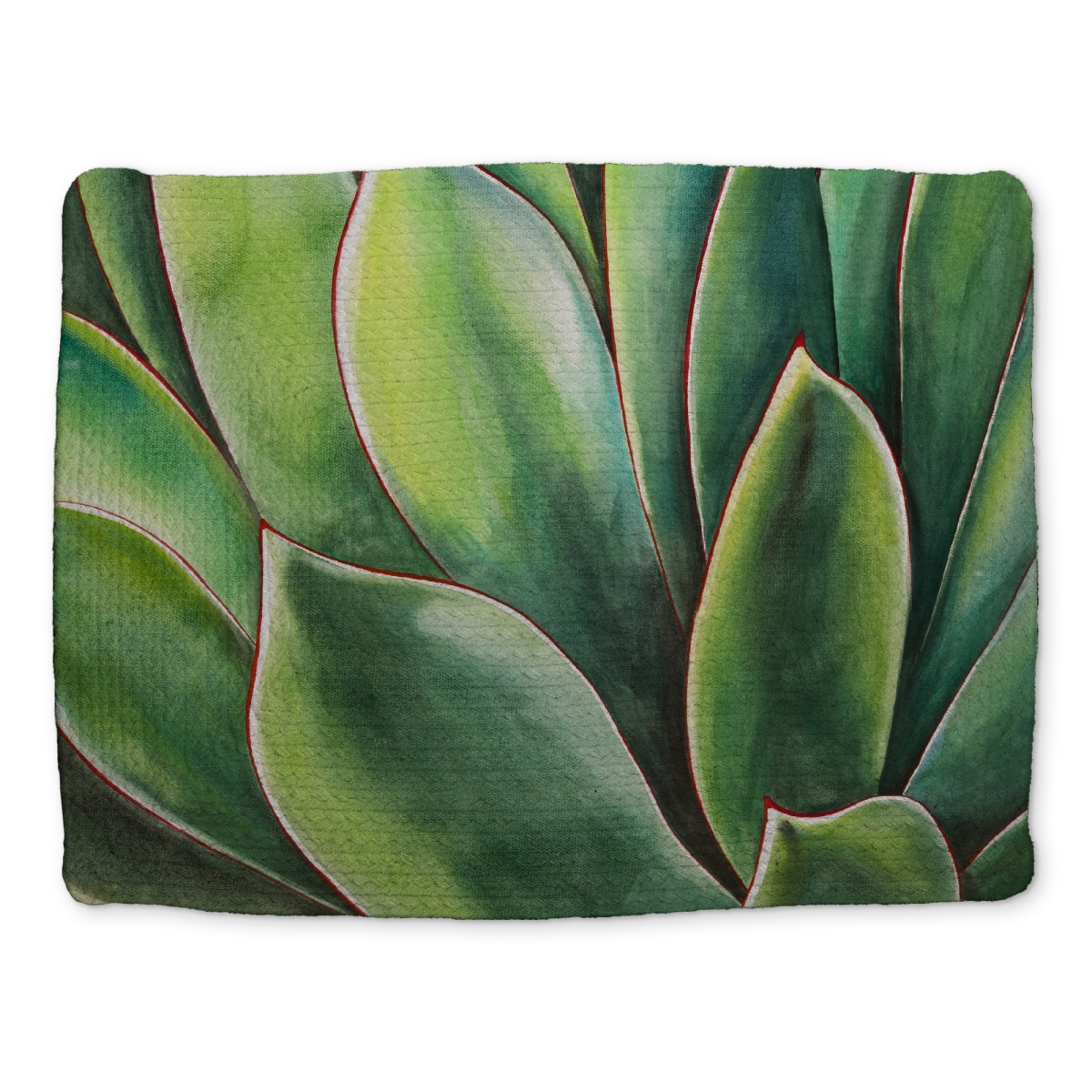 Picture of Begin Home Decor CBPM1418B5LZ58 14 x 18 in. Watercolor Agave Plant Placemat - Exotic Floral Bedroom Decor