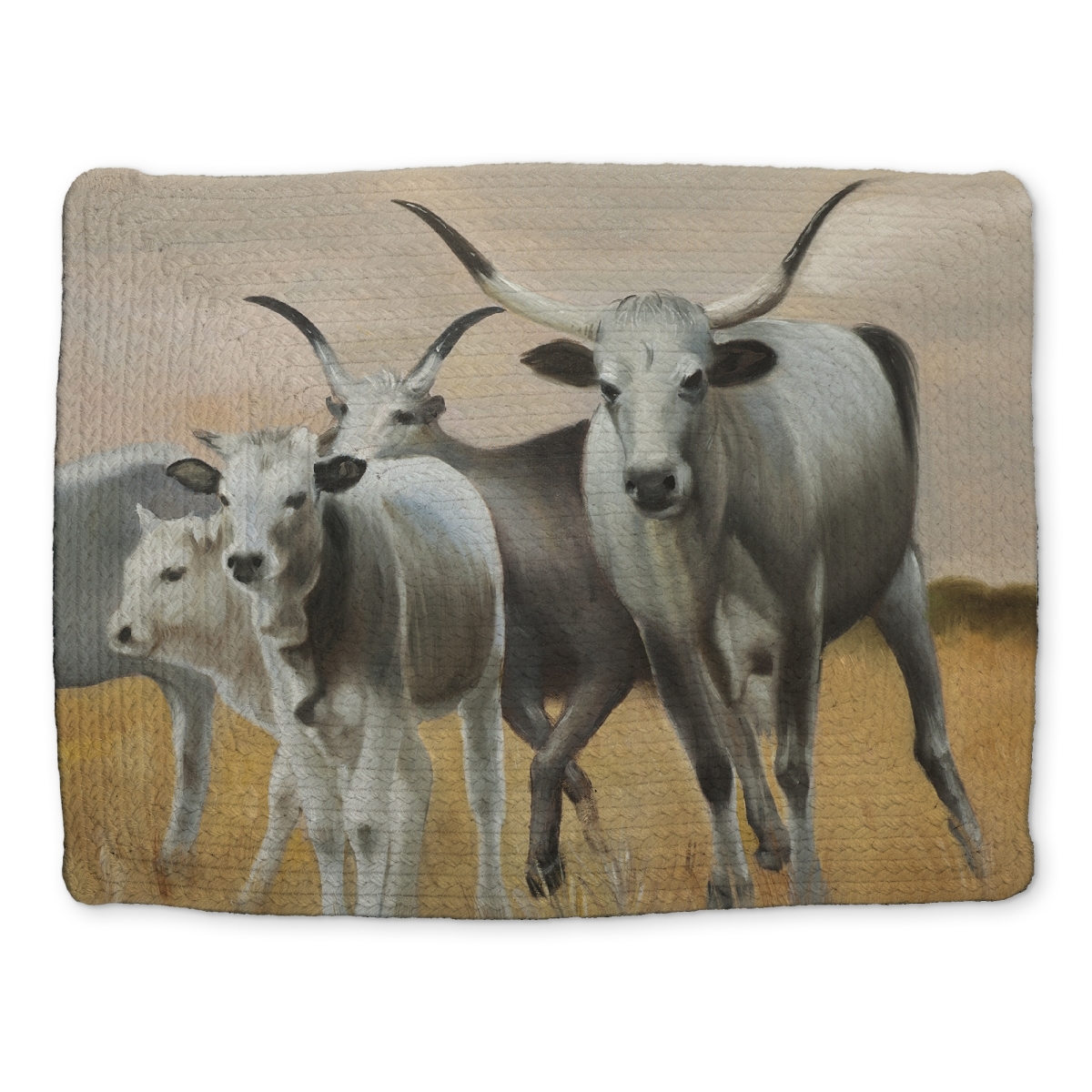 Picture of Begin Home Decor CBPM14182XFMT0 14 x 18 in. Nguni Breeding Rustic White Braided Polyester Placemat - Decor