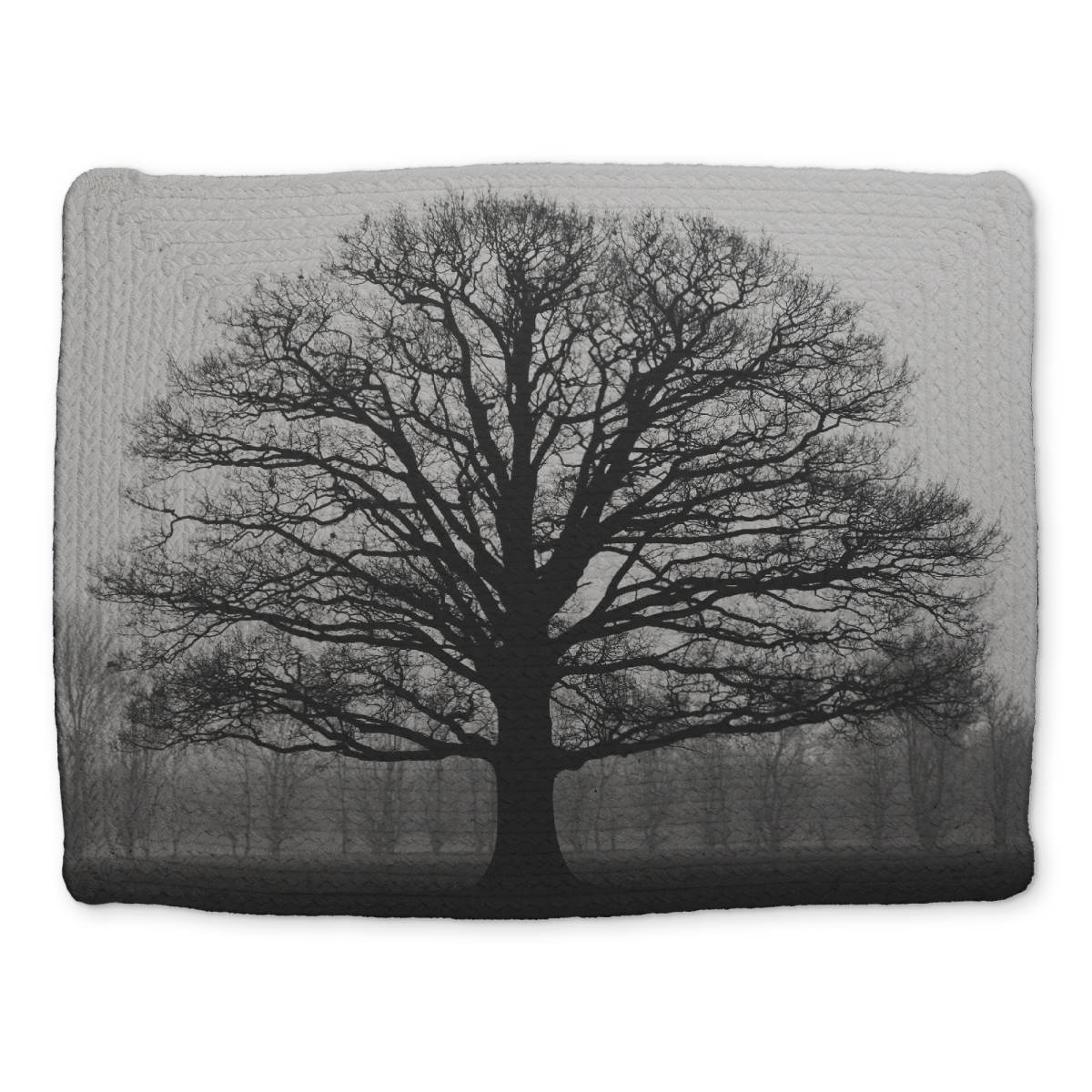 Picture of Begin Home Decor CBPM1418HSN0JZ 14 x 18 in. Blue Braided Polyester Placemat - Ominous Tree Home Decor
