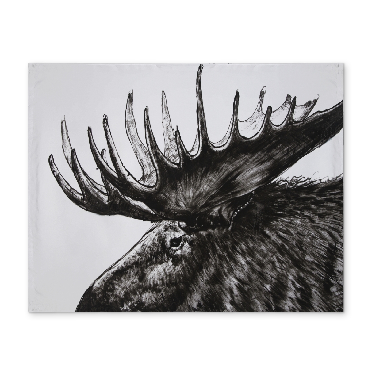Picture of Begin Home Decor CPPM1418T14XKZ 14 x 18 in. Moose Plume Rustic Deer Bedroom Placemat - Polyester Decor