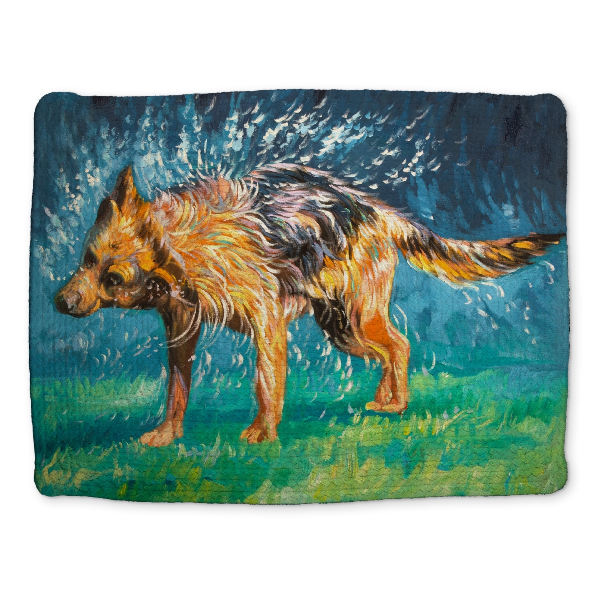 Picture of Begin Home Decor CBPM14181I8OIP 14 x 18 in. Pets Contemporary Blue Braided Polyester Placemat - Home Decor