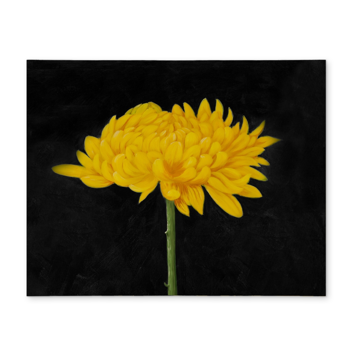 Picture of Begin Home Decor CPPM1418IE5A6L 14 x 18 in. Chrysanthemum Rustic Floral Polyester Placemat - Home Decor