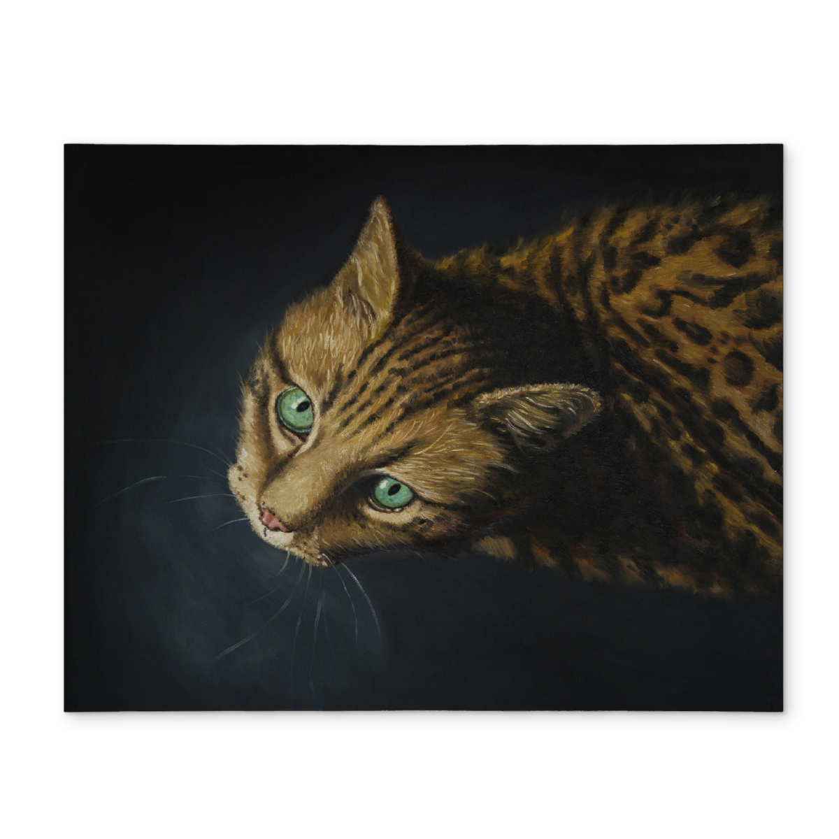 Picture of Begin Home Decor CPPM1418EEWU1G 14 x 18 in. Brown Bengal Cat Modern Polyester Placemat - Home Decor