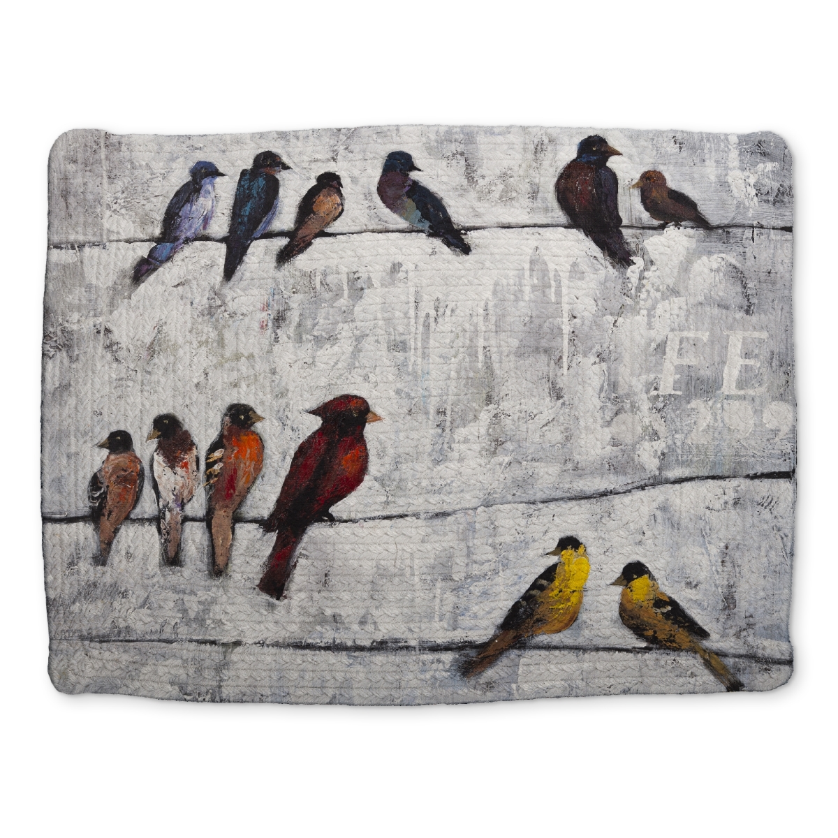 Picture of Begin Home Decor CBPM1418R9RVGZ 14 x 18 in. Colorful Birds Braided Polyester Placemat - Bird Bedroom Decor