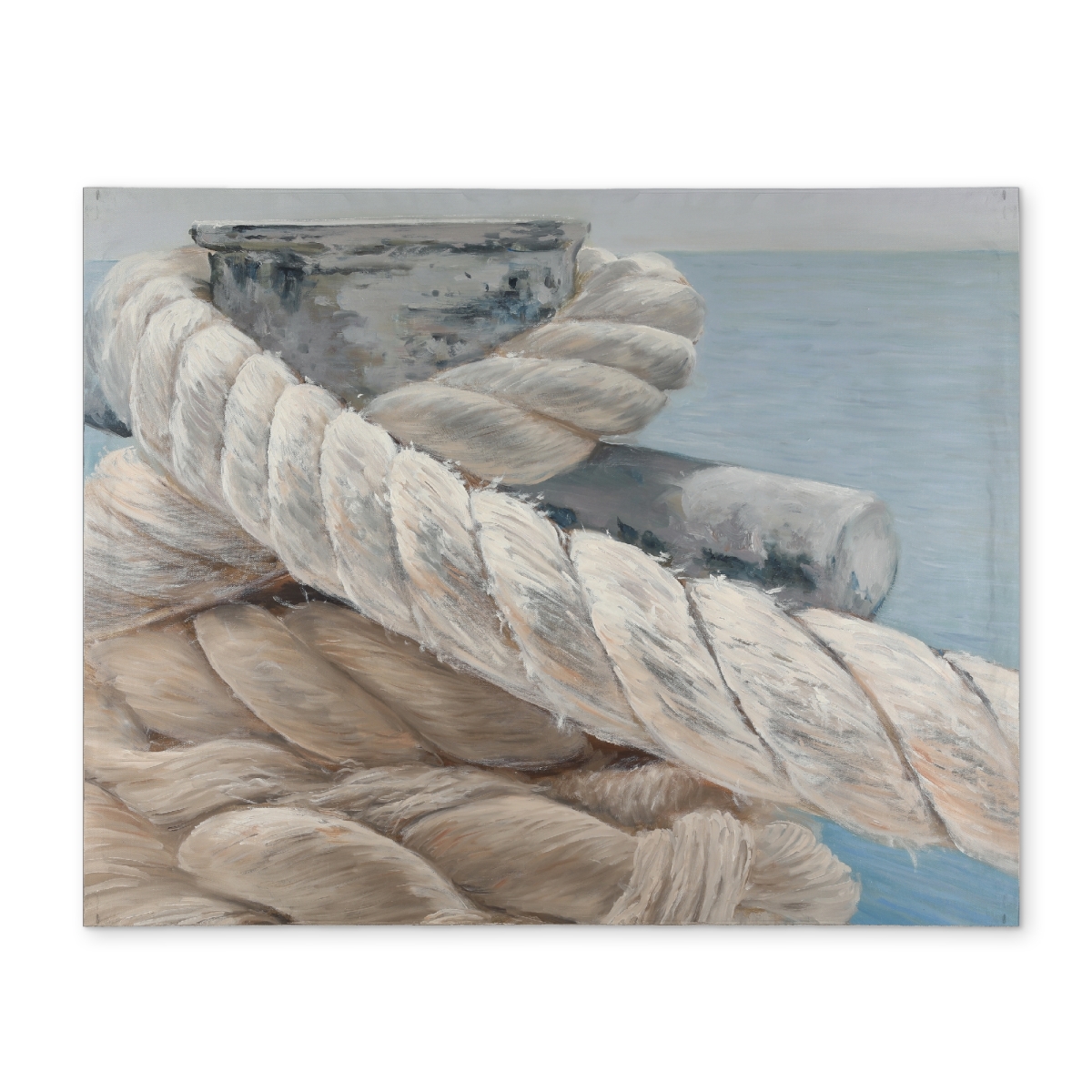Picture of Begin Home Decor CPPM1418CRFIYG 14 x 18 in. Coastal Marine Placemat - Polyester Tie-Down Ropes Design