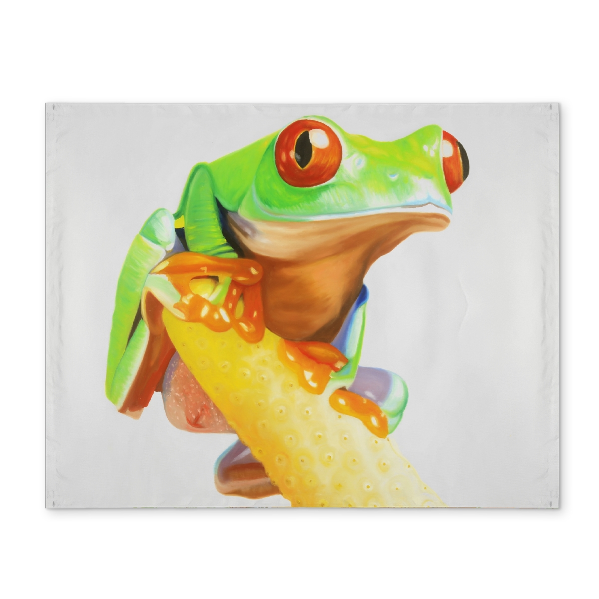 Picture of Begin Home Decor CPPM14182IK5D3 14 x 18 in. Curious Red Eyed Frog Reptile Placemat - Animal Bedroom Decor