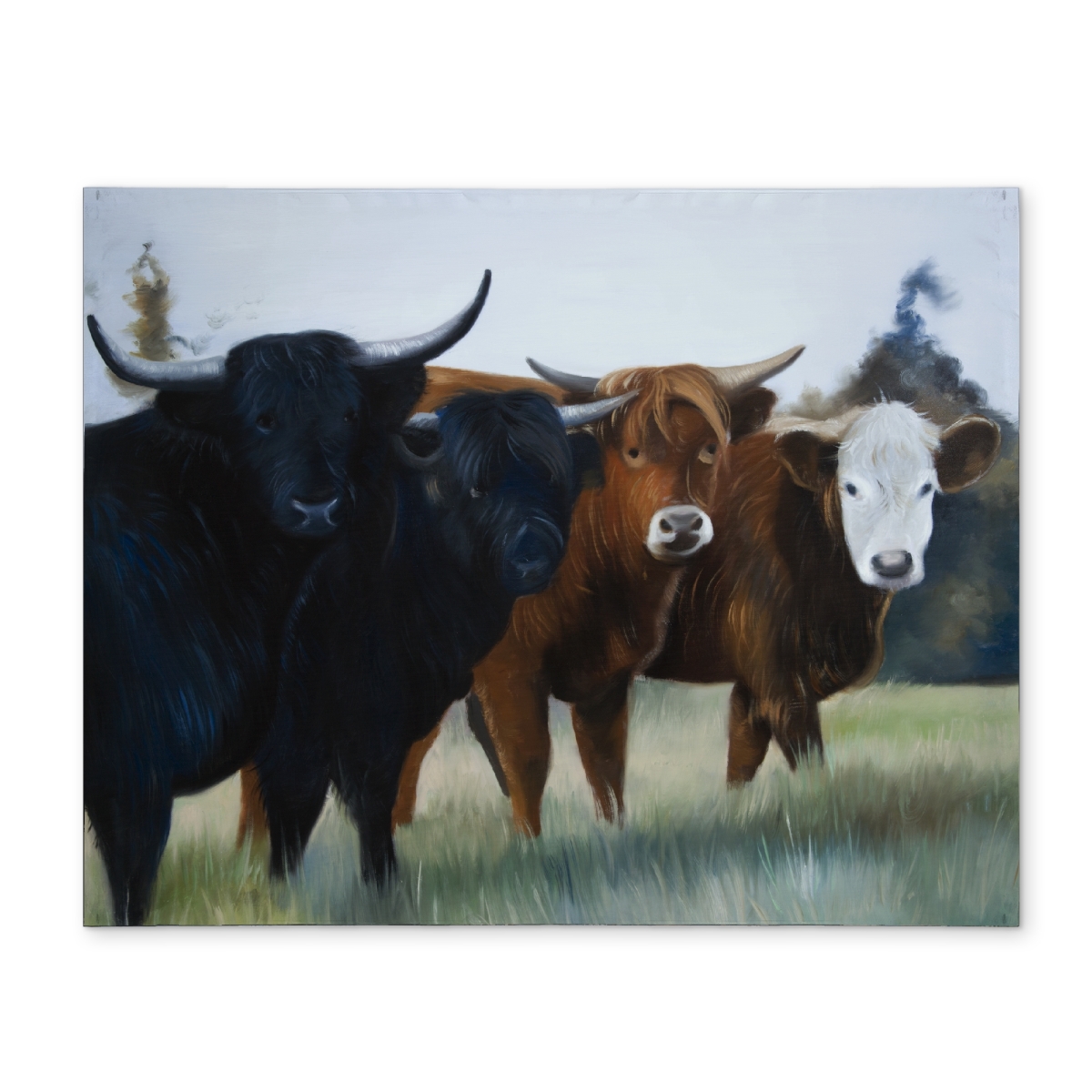 Picture of Begin Home Decor CPPM1418B1V56S 14 x 18 in. Highland Cows Brown Polyester Placemat - Farm Animal Decor