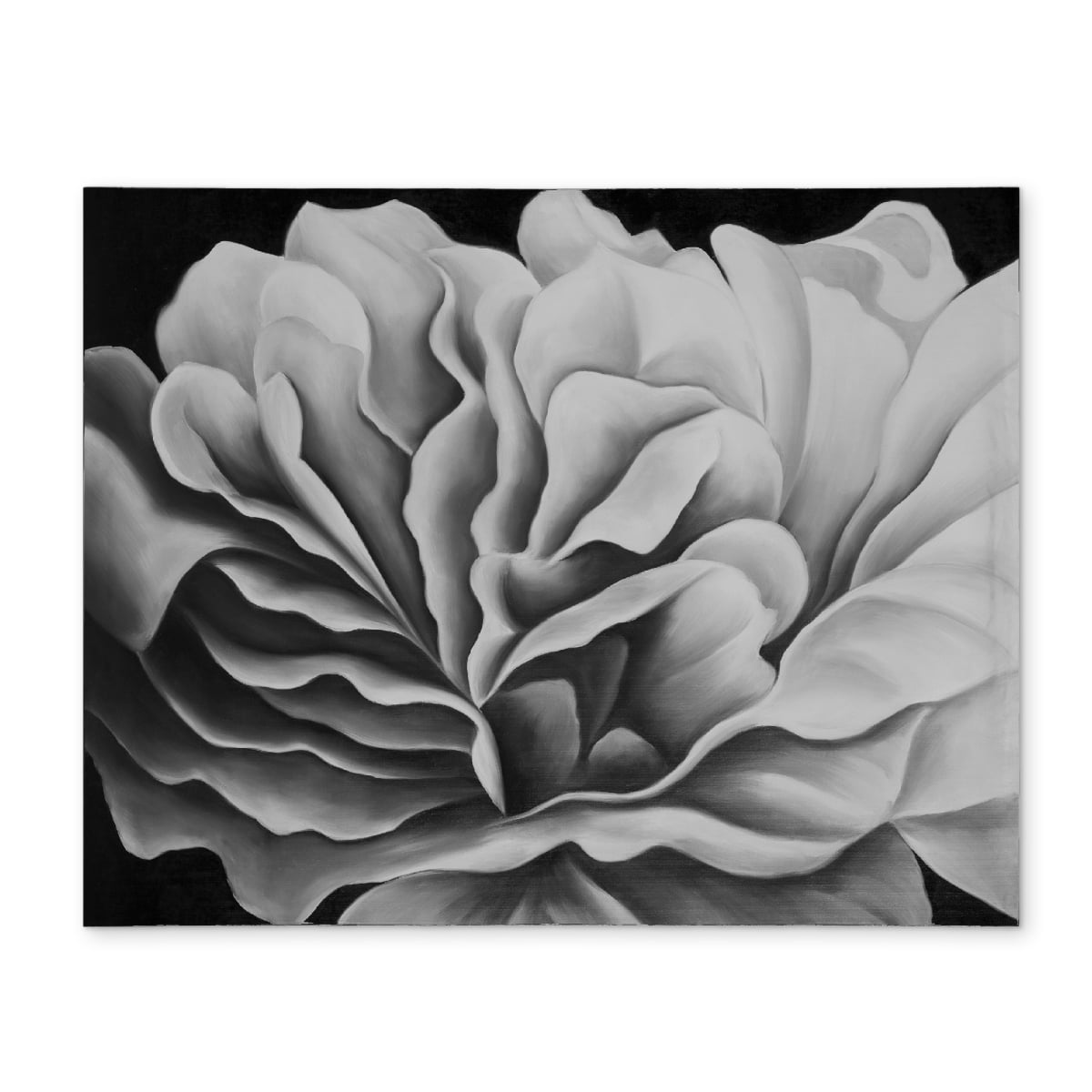 Picture of Begin Home Decor CPPM1418BFNTKH 14 x 18 in. Beautiful Black & White Floral Botanical Placemat - Home Decor
