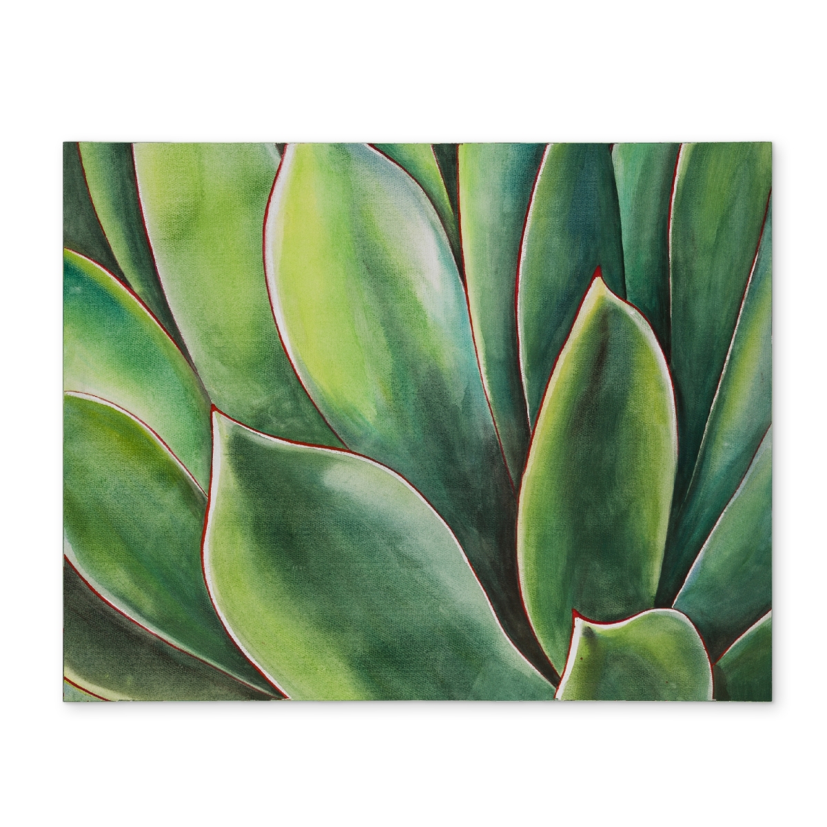 Picture of Begin Home Decor CPPM1418R0C4T5 14 x 18 in. Watercolor Agave Plant Placemat - Exotic Botanical Home Decor