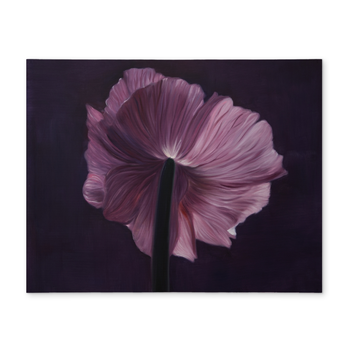 Picture of Begin Home Decor CPPM1418N6O5DX 14 x 18 in. Purple Petals Bedroom Botanical Minimalist Polyester Placemat