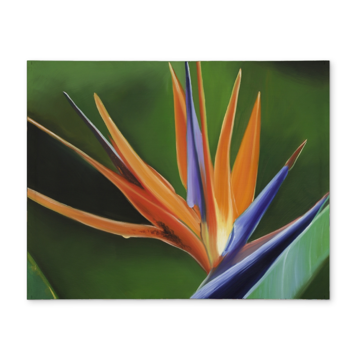 Picture of Begin Home Decor CPPM1418E7QN8R 14 x 18 in. Bird of Paradise Floral Polyester Placemat - Home Decor