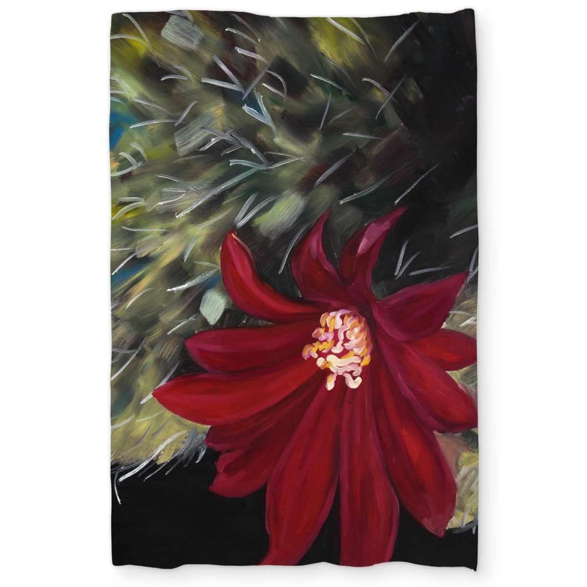 C1DCTXLWW2WTPM Echinopsis Red Cactus Flower - Kitchen Black Twin Size Extra Long Duvet Cover - Home Decor