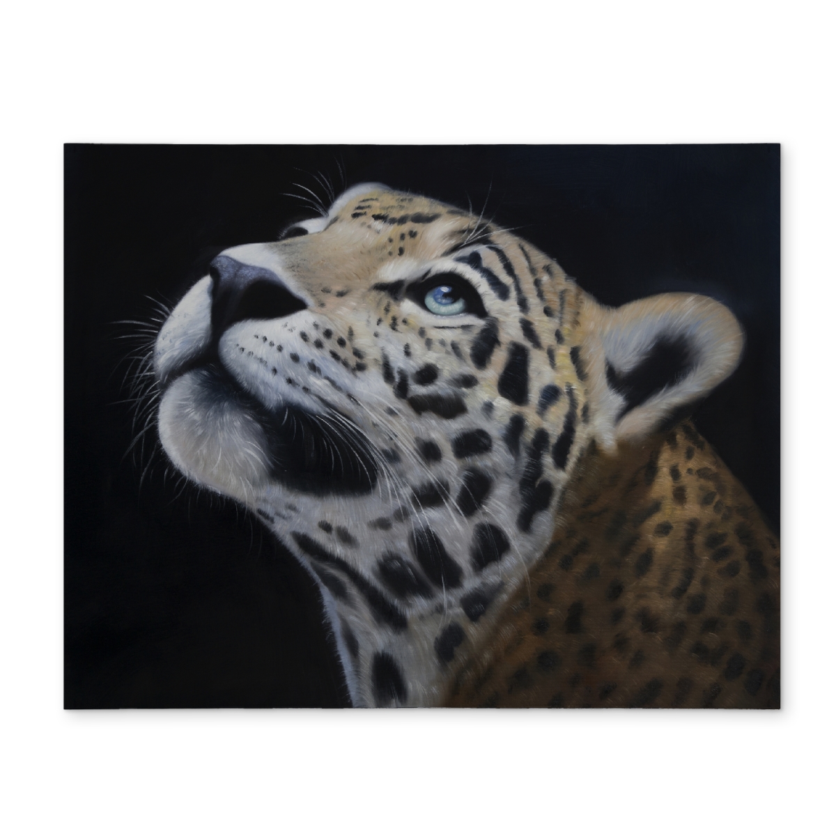 Picture of Begin Home Decor CPPM1418MLBI8A 14 x 18 in. Realistic Leopard Face Feline Placemat - African White Decor
