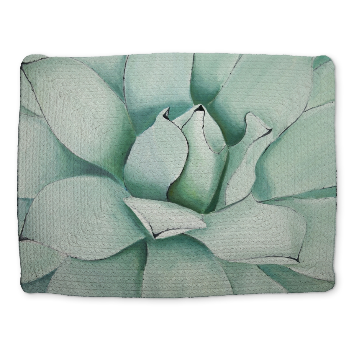 Picture of Begin Home Decor CBPM1418V55WMQ 14 x 18 in. Green Braided Polyester Placemat - Succulent Closeup Decor