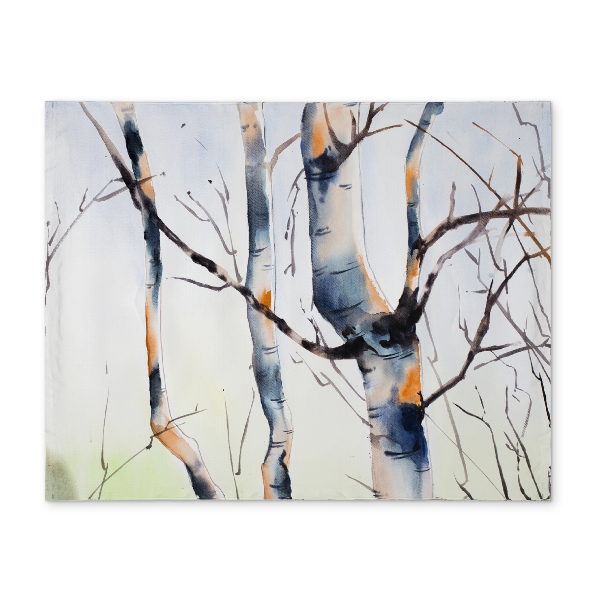 Picture of Begin Home Decor CPPM1418C9ILJN 14 x 18 in. Three Small Birch Trees Polyester Placemat - Home Decor