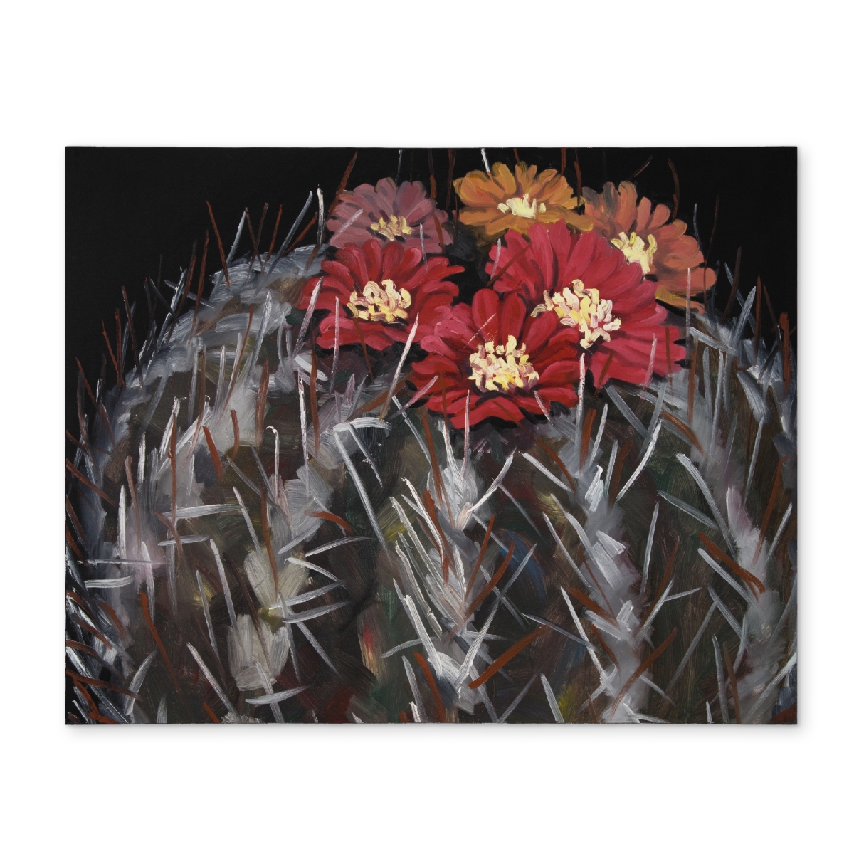 Picture of Begin Home Decor CPPM1418WRVK65 14 x 18 in. Mammillaria Cactus Bloom Placemat - Black Botanical Decor