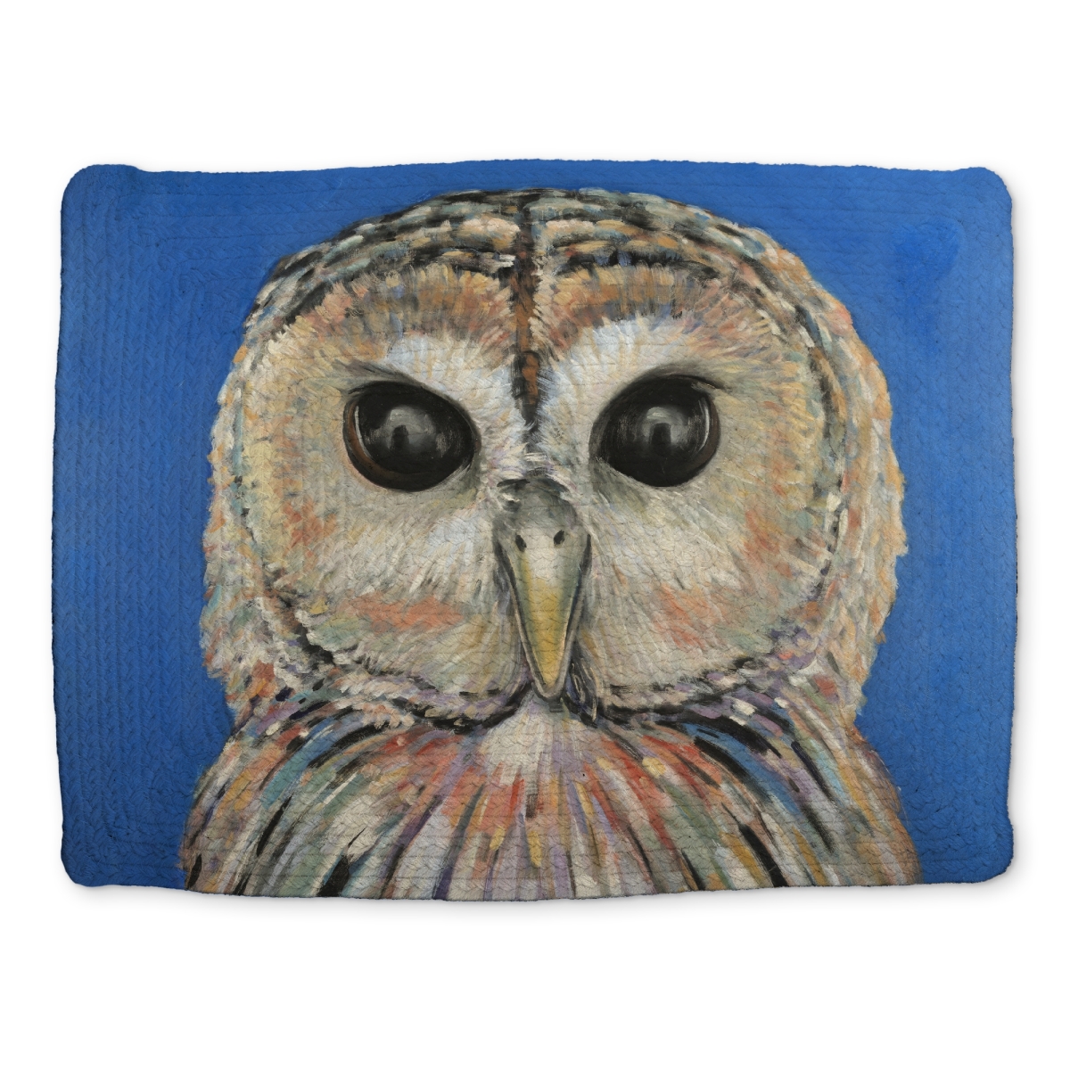 Picture of Begin Home Decor CBPM1418FFEJM0 14 x 18 in. Colorful Spotted Owl Placemat - Braided Polyester Home Decor