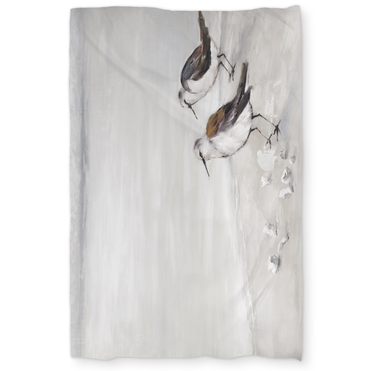 C1DCTXLWUU8XT2 Two Sandpipers Birds Bathroom Marine Twin Size Extra Long Duvet Cover - Home Decor