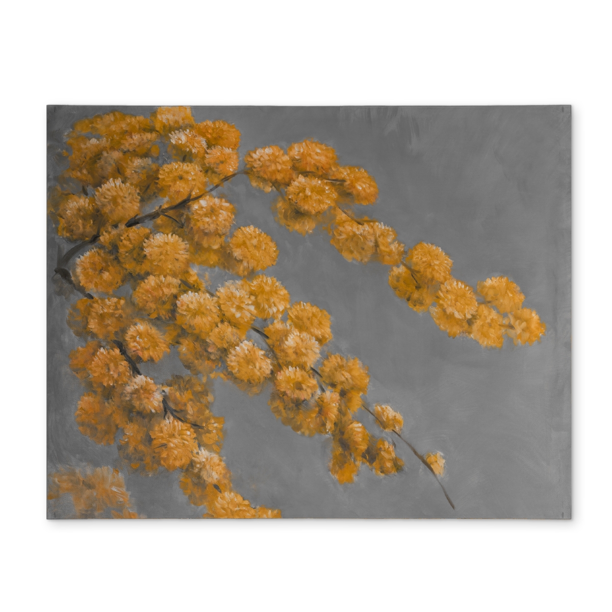 Picture of Begin Home Decor CPPM1418FME43A 14 x 18 in. Golden Wattle Plant Gray Polyester Placemat - Home Decor