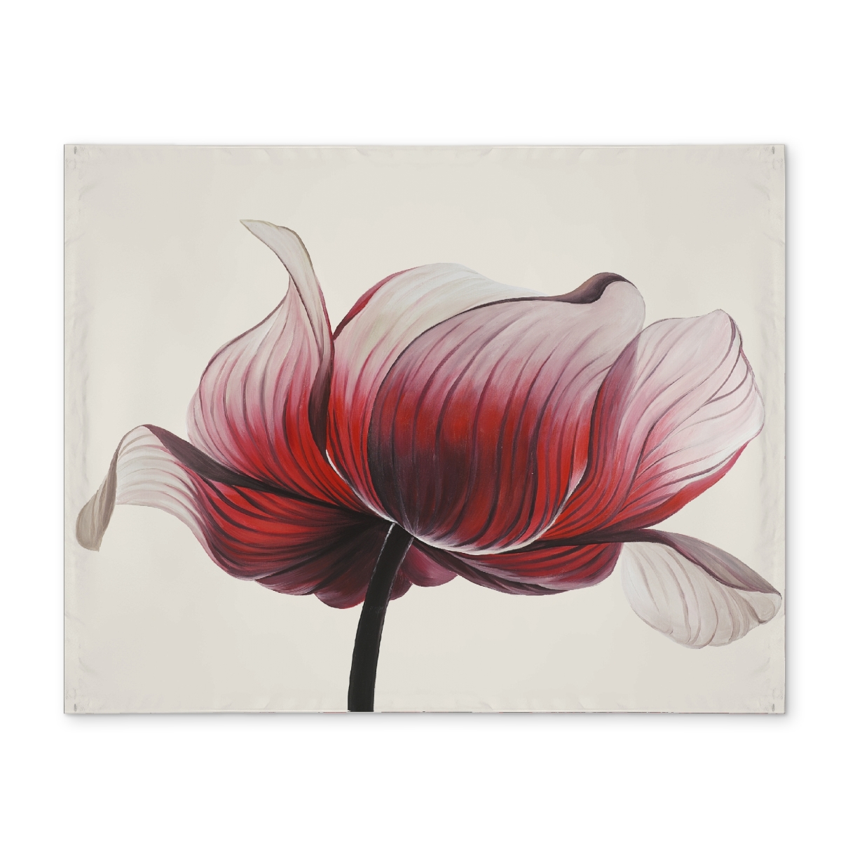 Picture of Begin Home Decor CPPM1418JSQ2JH 14 x 18 in. Anemone Flower Exotic Polyester Placemat - Bedroom Decor
