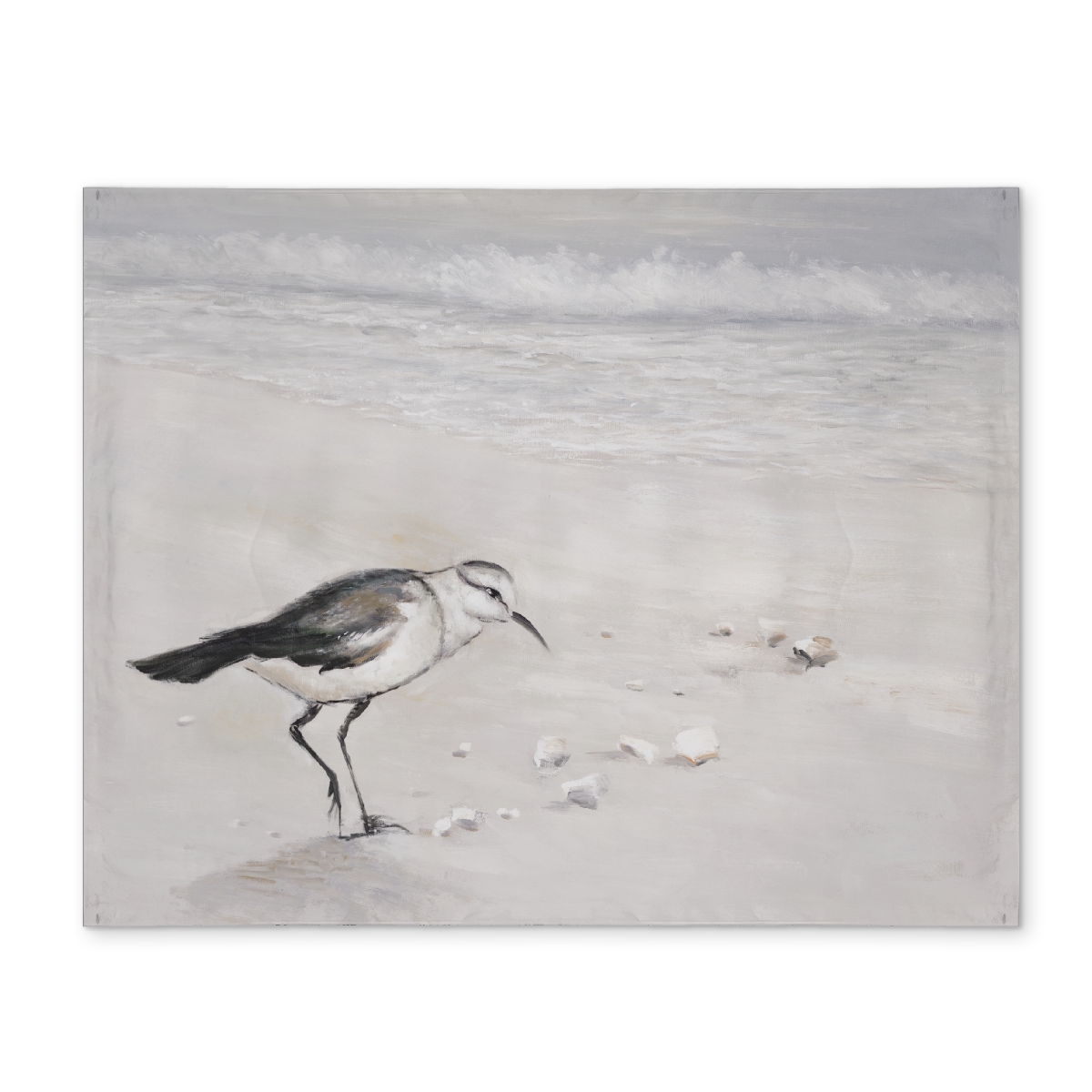 CPPM141853DA40 14 x 18 in. Semipalmated Sandpiper White Marine Polyester Placemat Decor