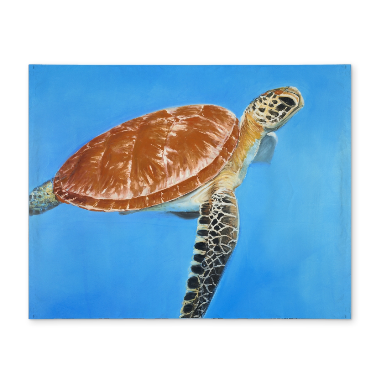 Picture of Begin Home Decor CPPM141886MMS3 14 x 18 in. Green Aquatic Turtle Placemat - Exotic Animal Home Decor