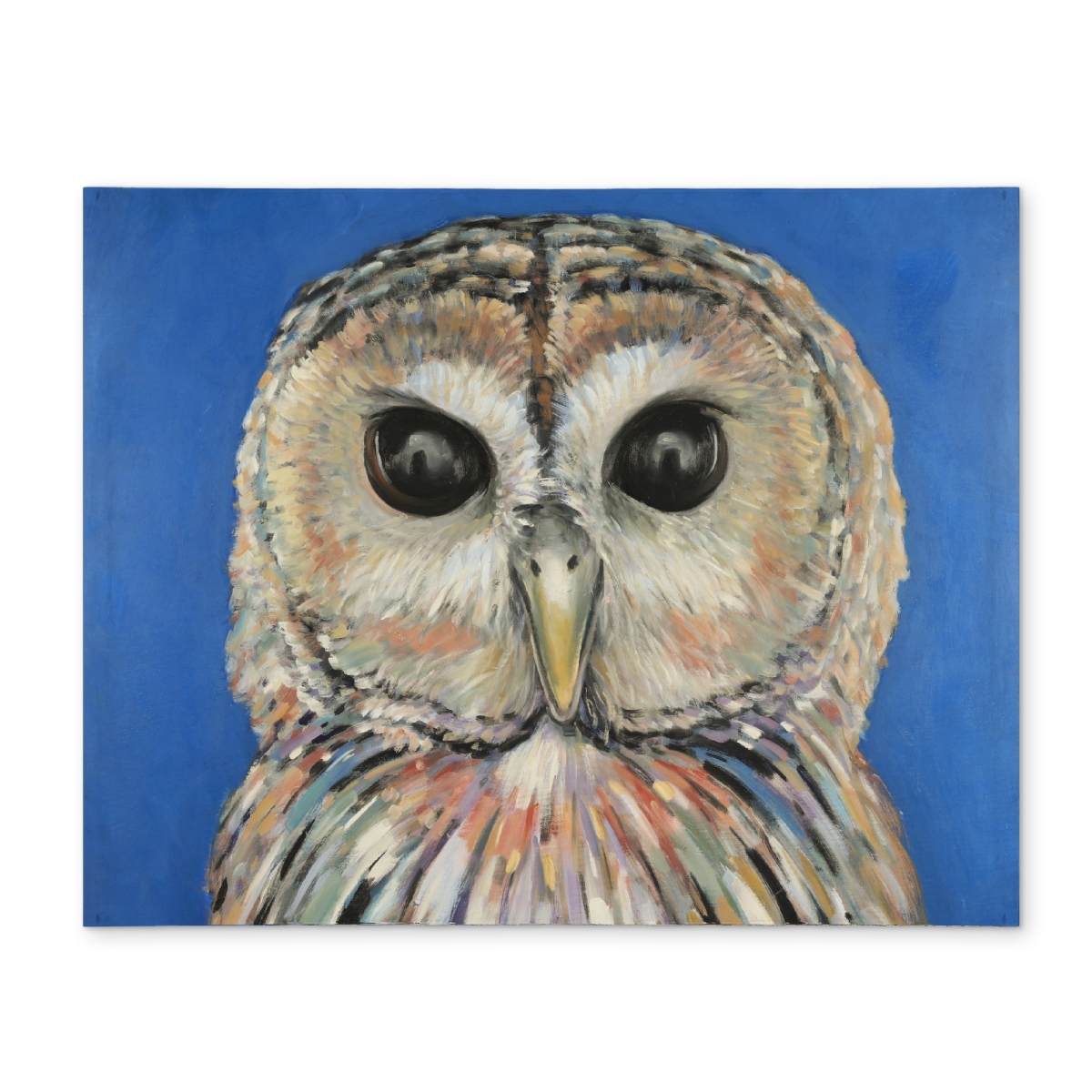 Picture of Begin Home Decor CPPM1418KI8QWC 14 x 18 in. Colorful Spotted Owl Polyester Placemat - Bird Blue Home Decor