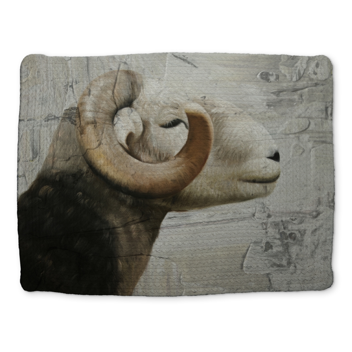Picture of Begin Home Decor CBPM14183KSVGL 14 x 18 in. Farm Animals White Braided Polyester Placemat - Aries Decor