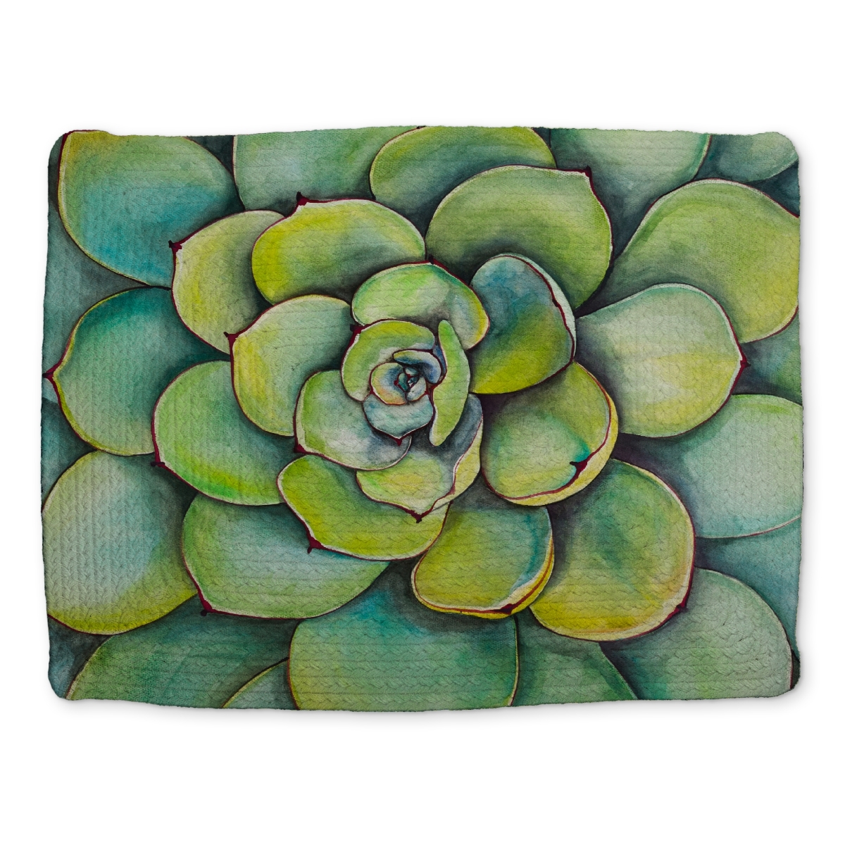 Picture of Begin Home Decor CBPM1418D53DED 14 x 18 in. Green Floral & Botanical Watercolor Succulent Polyester Placemat