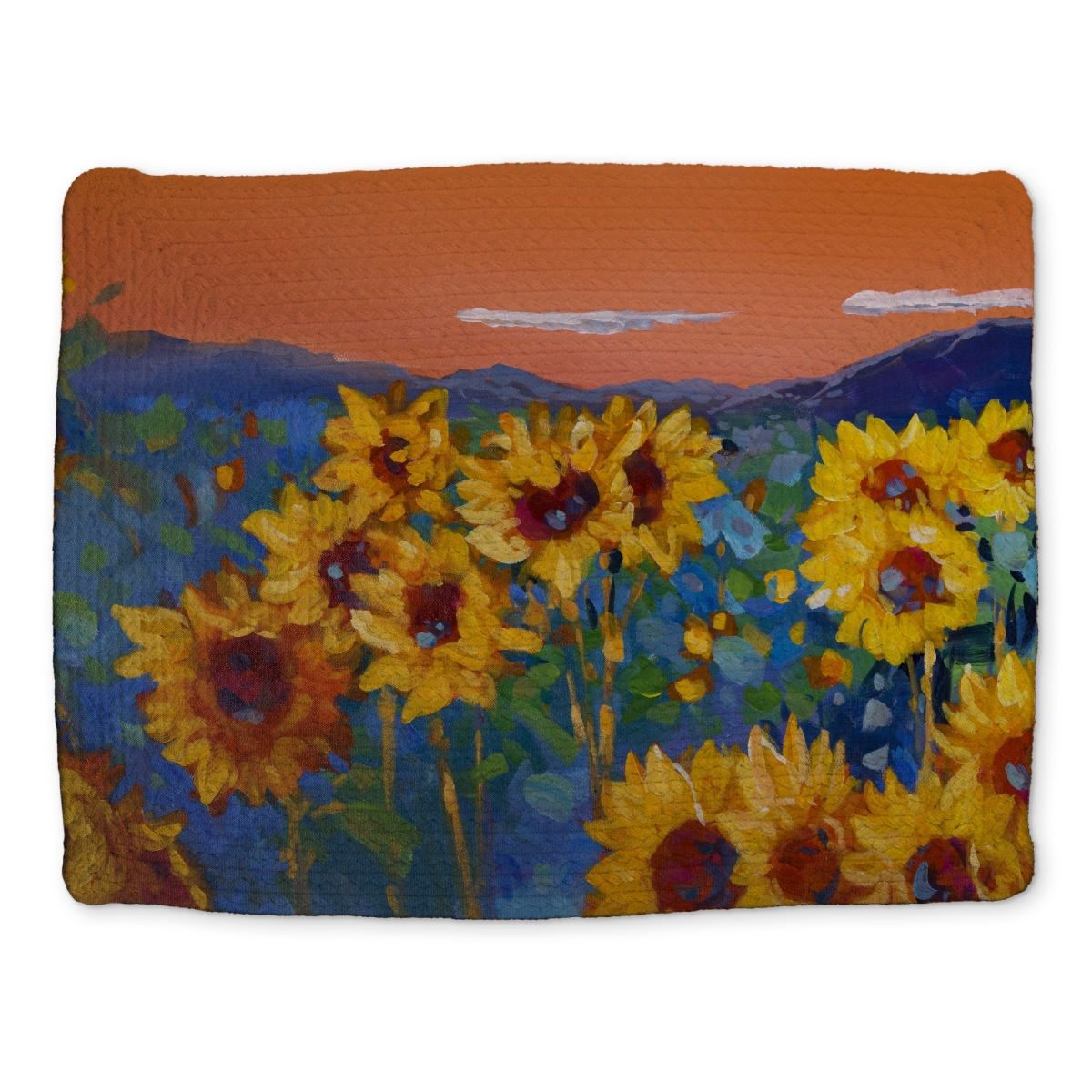 Picture of Begin Home Decor CBPM1418MK9GWG 14 x 18 in. Blue Botanical Sunflowers by Dawn Braided Polyester Placemat