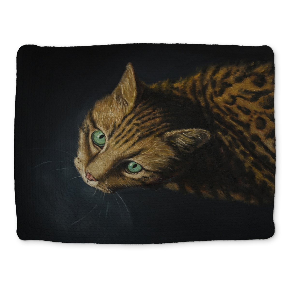 Picture of Begin Home Decor CBPM1418F3ZGPB 14 x 18 in. Bengal Cat Braided Polyester Placemat - Brown Pet Home Decor