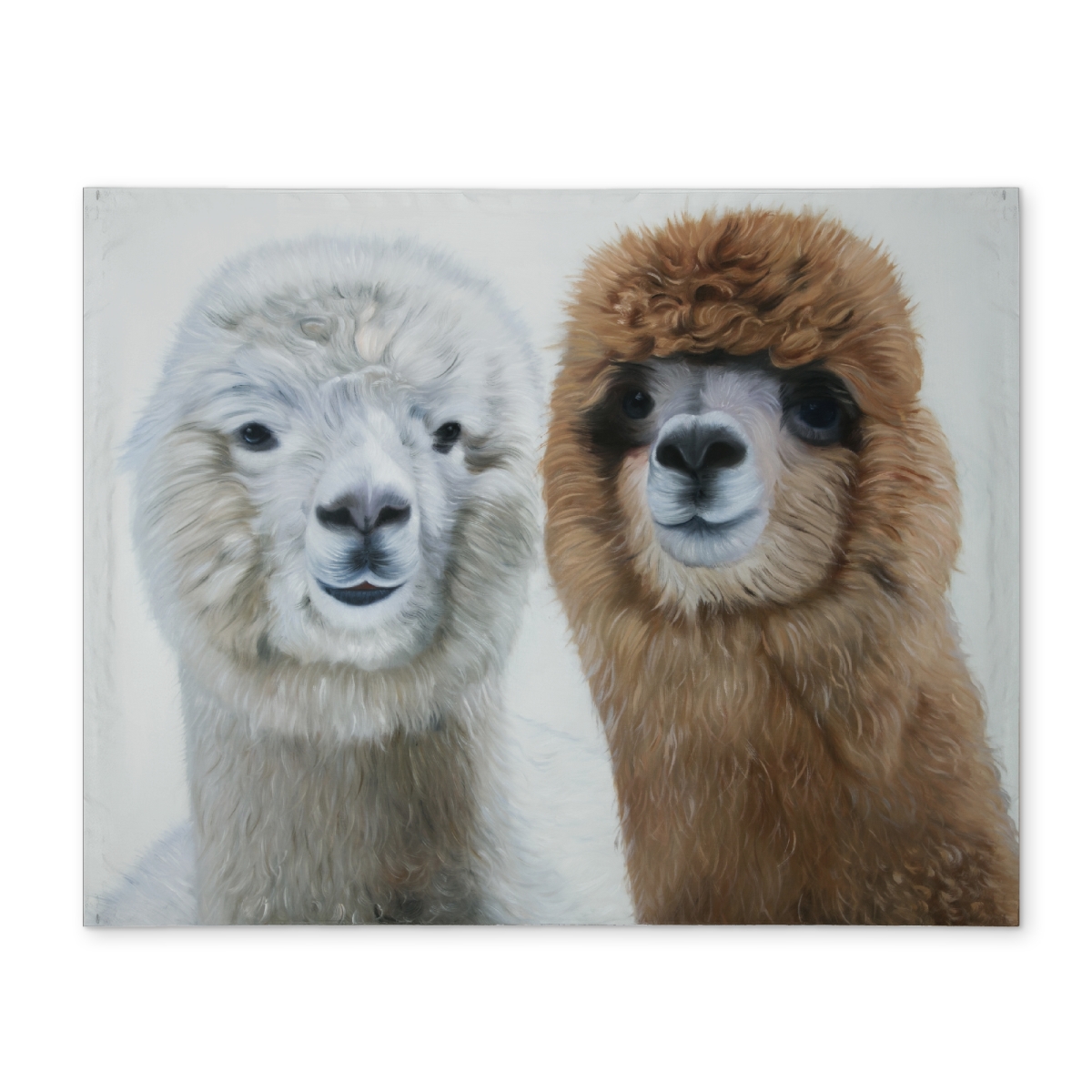 Picture of Begin Home Decor CPPM1418JCEY18 14 x 18 in. Two Llamas Farm Animals Bedroom Polyester Placemat Decor