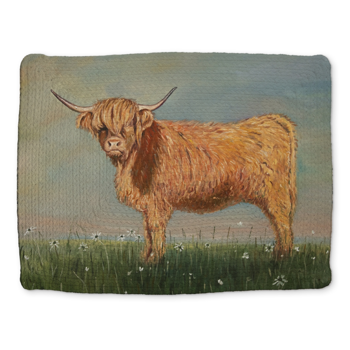 Picture of Begin Home Decor CBPM1418UI9LLO 14 x 18 in. Daisy the Highland Cow Farm Animals Brown Braided Placemat