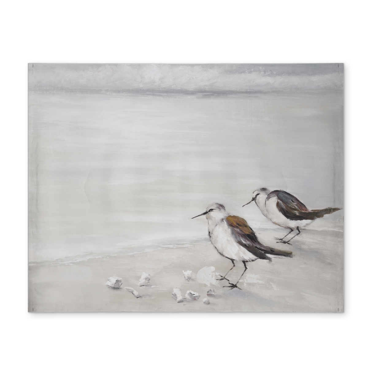 Picture of Begin Home Decor CPPM1418159Q04 14 x 18 in. Marine Beige Sandpipers Polyester Placemat - Home Decor