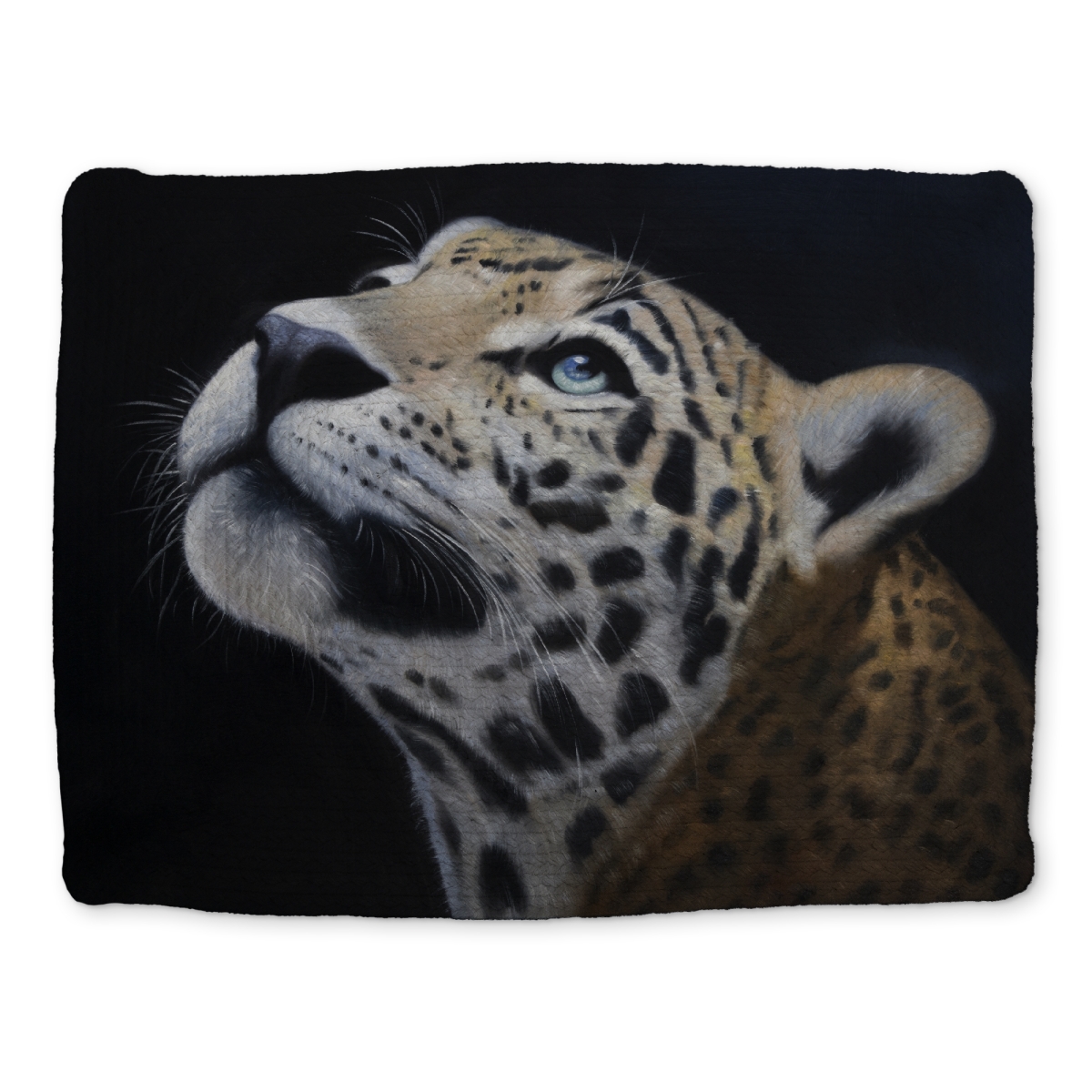 Picture of Begin Home Decor CBPM1418UND0S4 14 x 18 in. Realistic Leopard Face White Braided Polyester Placemat Decor