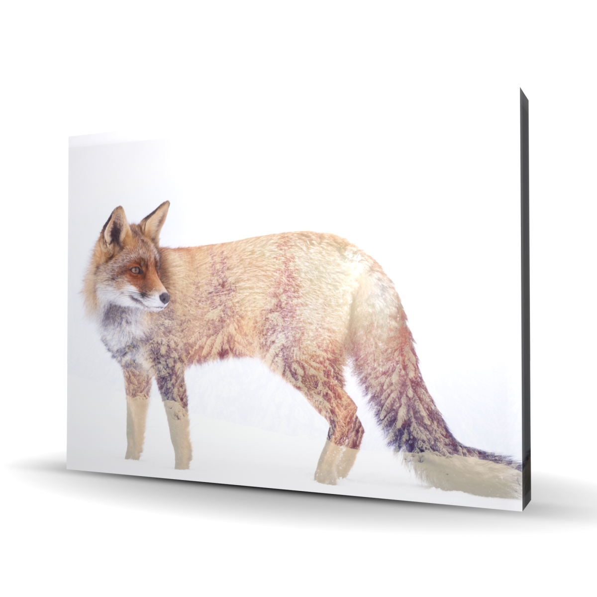 C1RC3648BFUOVL 36 x 48 in. Forest & Fox - Trees Scenic Canvas for Home Decor