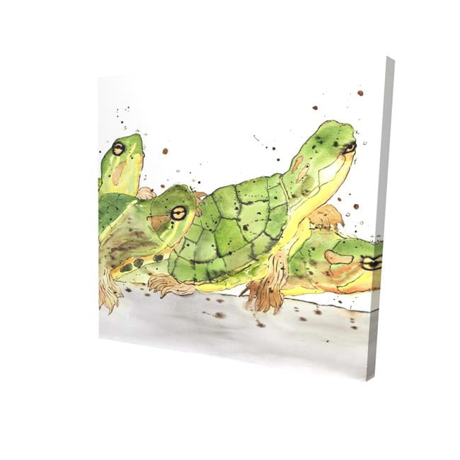 8 x 8 in. Small Aquatic Turtles-Print on Canvas