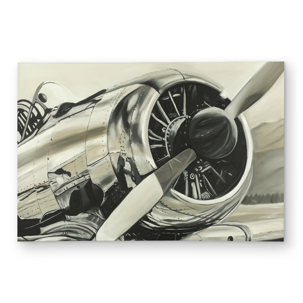 C1ROAR23HBPE1B 2 x 3 ft. Vintage Aircraft Outdoor Area Rug - Black Transportation Decor - Rectangle